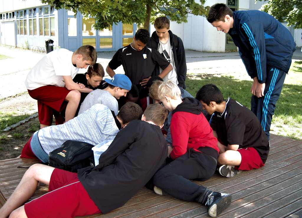 wbv kader2001m berlin2015 3